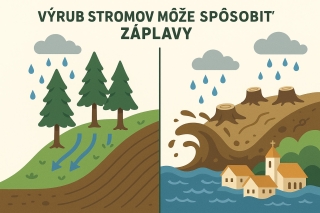 Stromy ako ochrana pred záplavami 